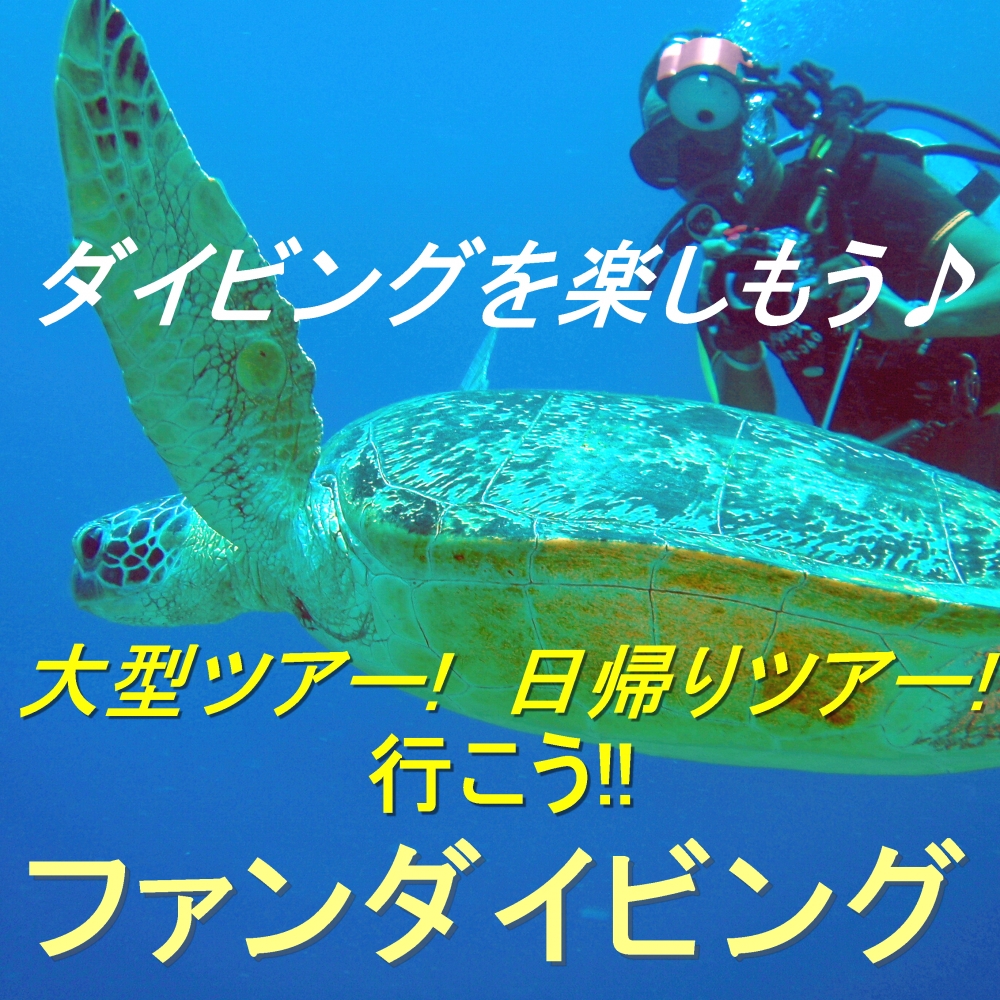 Diving Shop SEVEN7_104