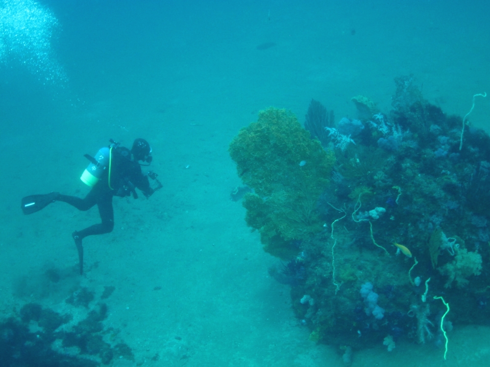 Diving Shop SEVEN7_93