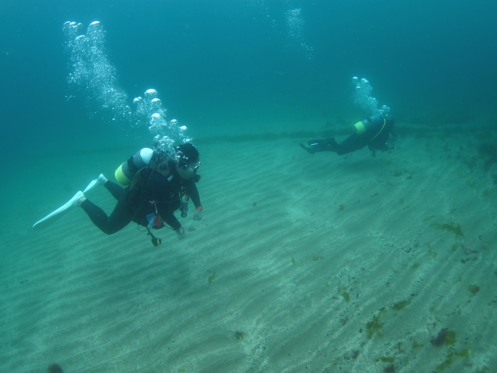 Diving Shop SEVEN7_88