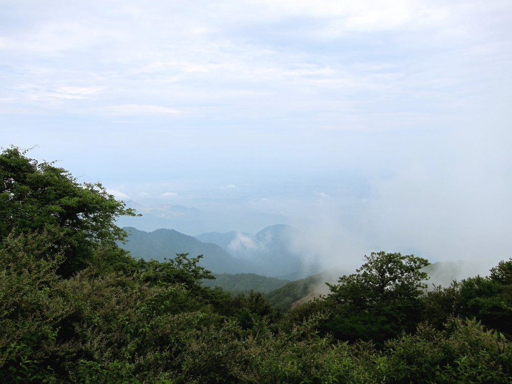 Diving Shop SEVEN7_84