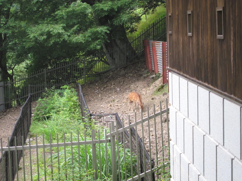 Diving Shop SEVEN7_79