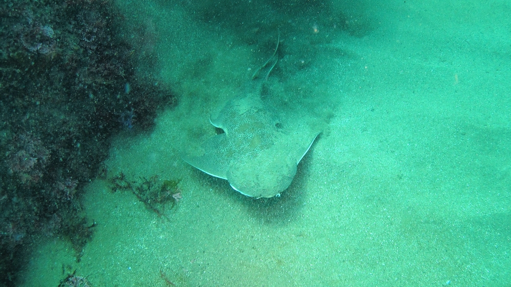 Diving Shop SEVEN7_73