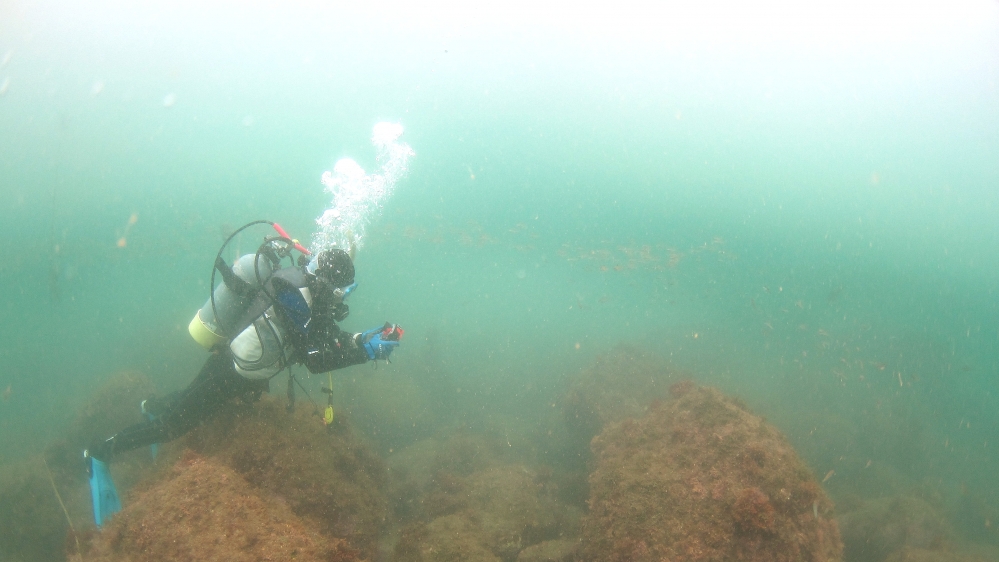 Diving Shop SEVEN7_63