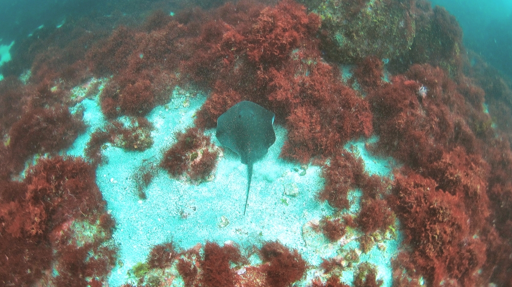 Diving Shop SEVEN7_51