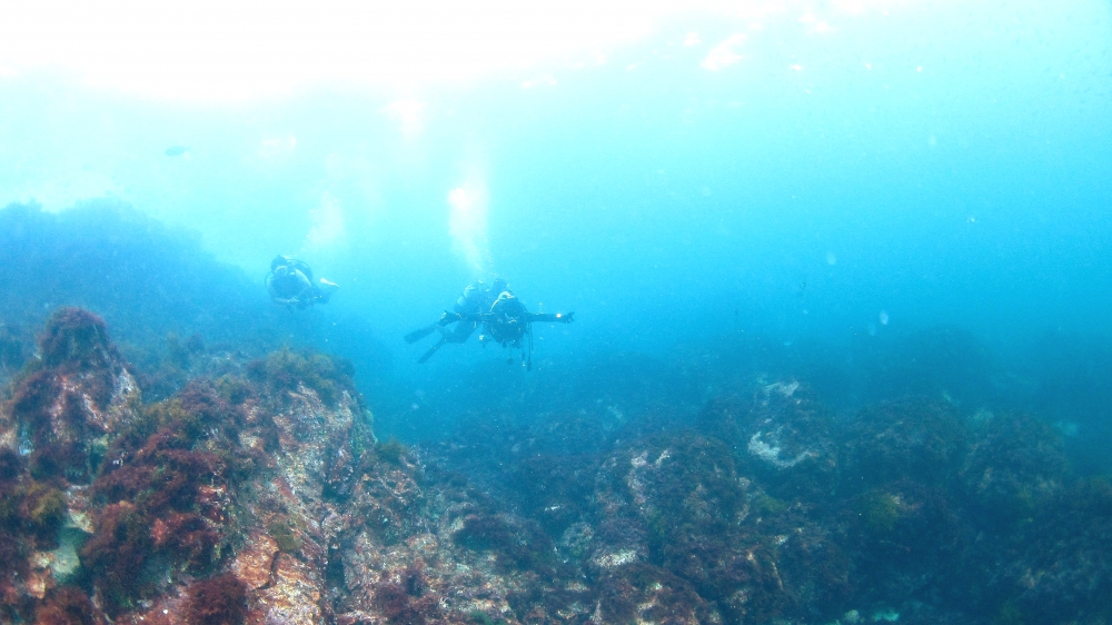 Diving Shop SEVEN7_50