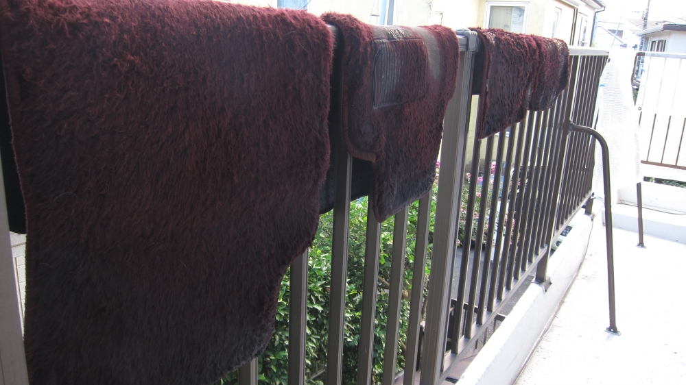 Diving Shop SEVEN7_45