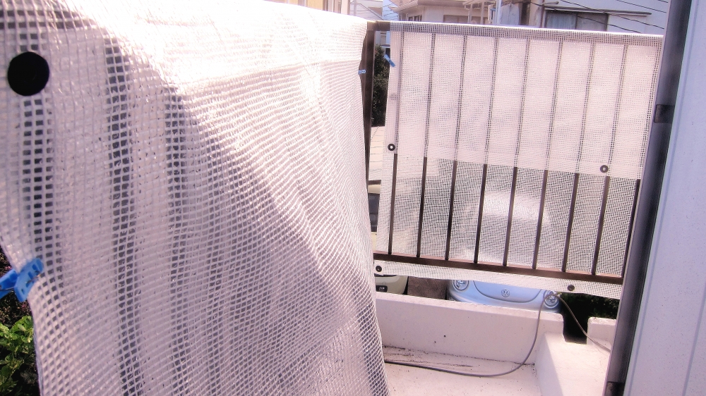 Diving Shop SEVEN7_44