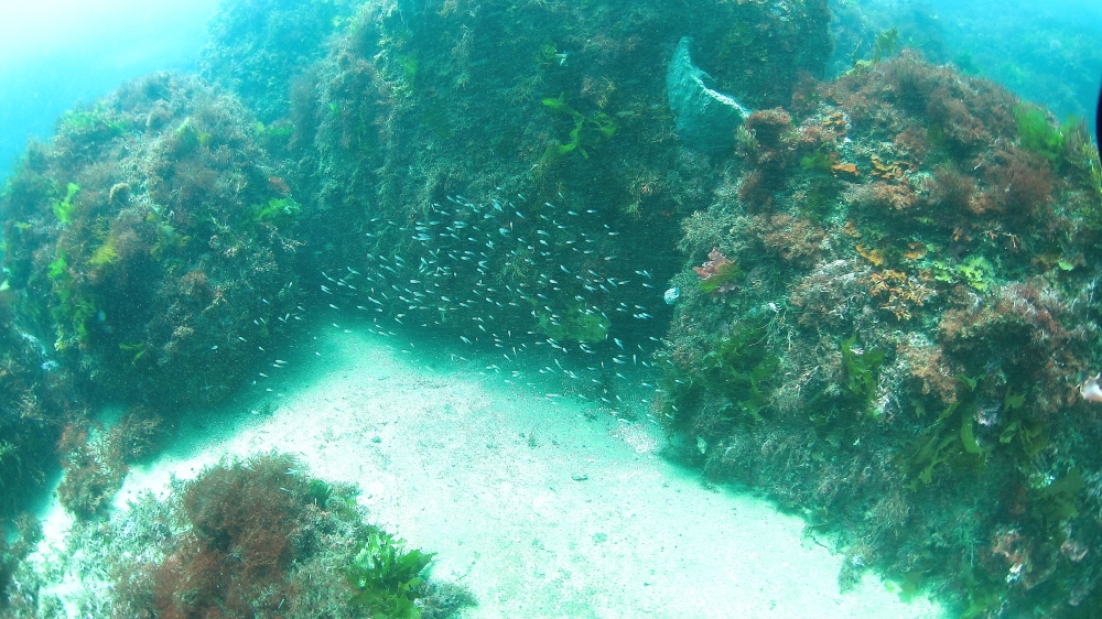 Diving Shop SEVEN7_33