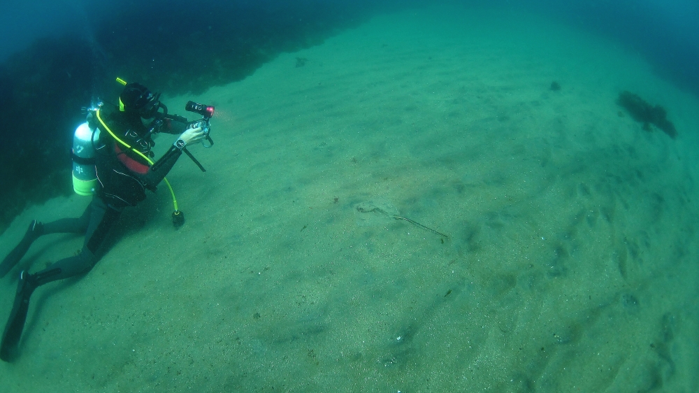 Diving Shop SEVEN7_30