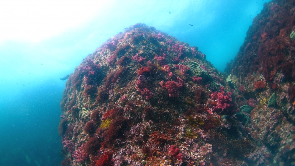 Diving Shop SEVEN7_28