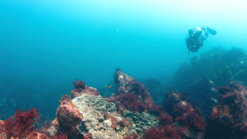 Diving Shop SEVEN7_25