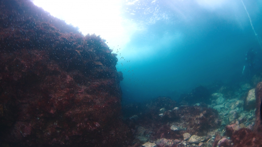 Diving Shop SEVEN7_21