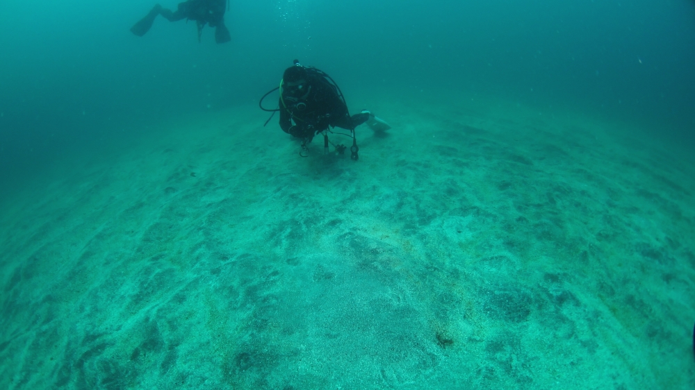 Diving Shop SEVEN7_20