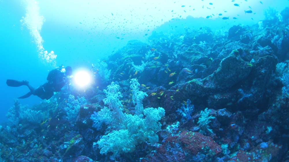 Diving Shop SEVEN7_15