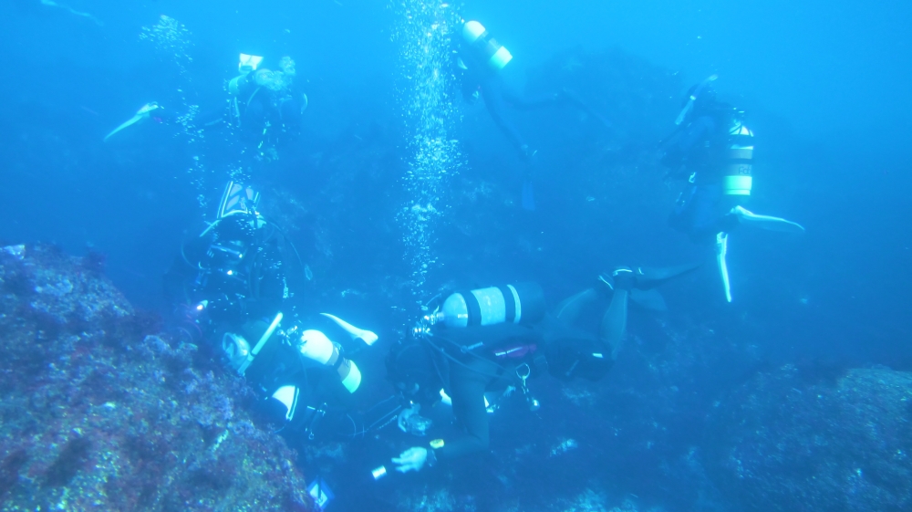 Diving Shop SEVEN7_10