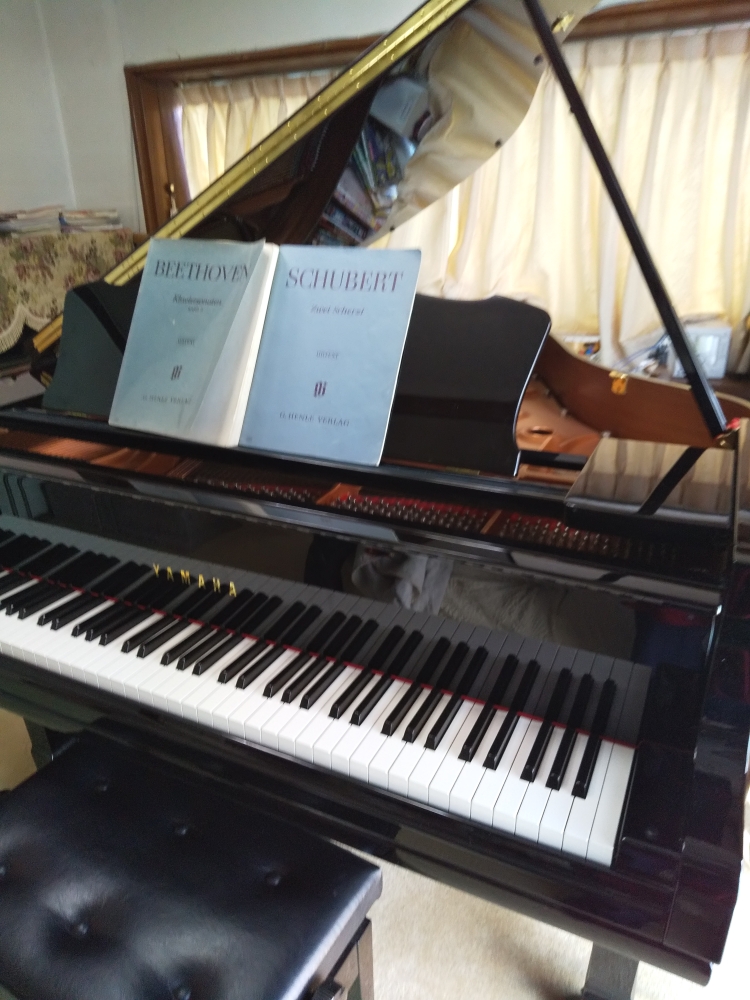 金谷ピアノ教室