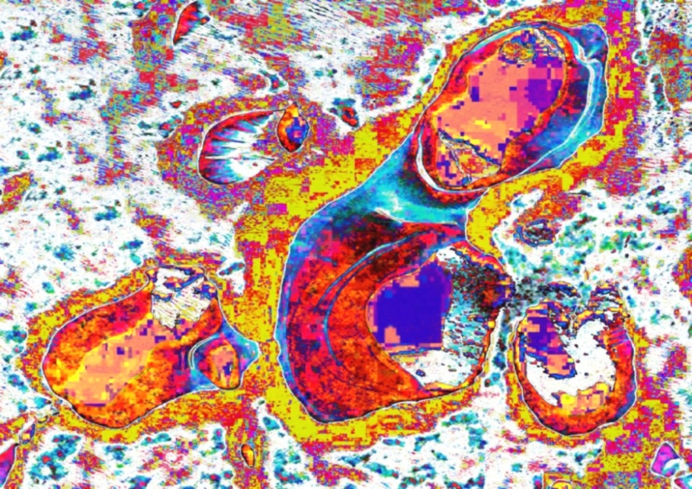 アートシュウ絵画教室・二俣川・桜木町校_35