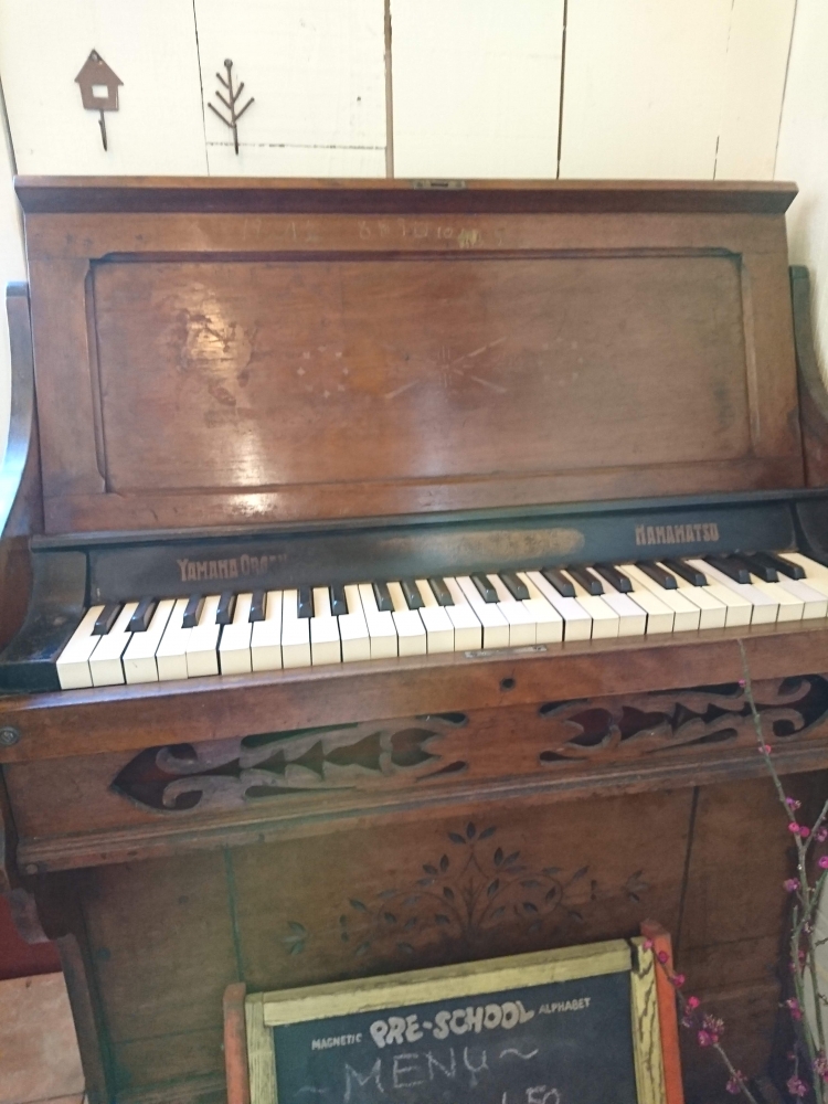 新井音楽教室 jet_1