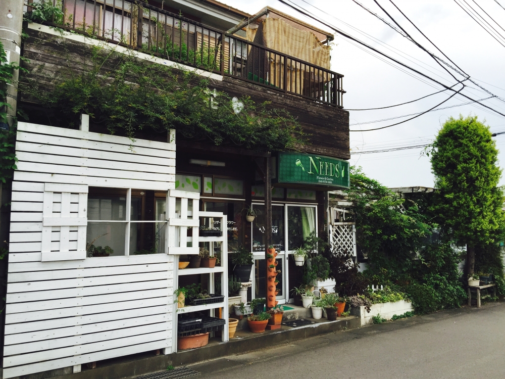 ＮＥＥＤＳ　ＦＬＯＷＥＲ_1