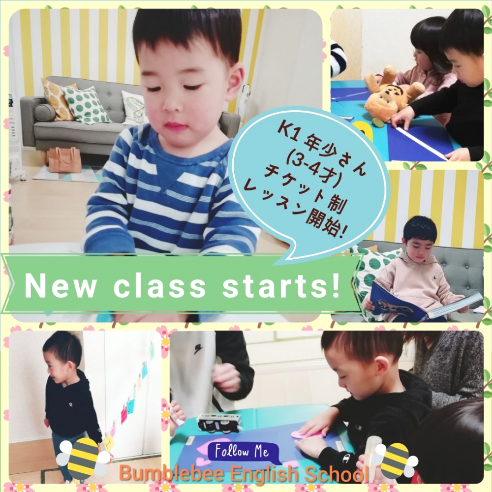 Bumblebee English School _1