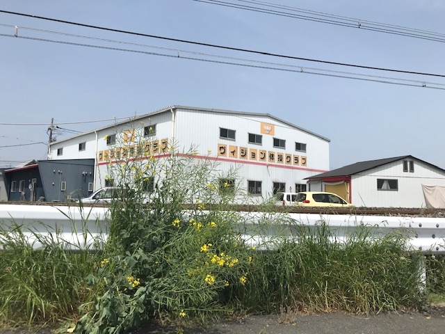 ヴィジョン体操クラブ_2