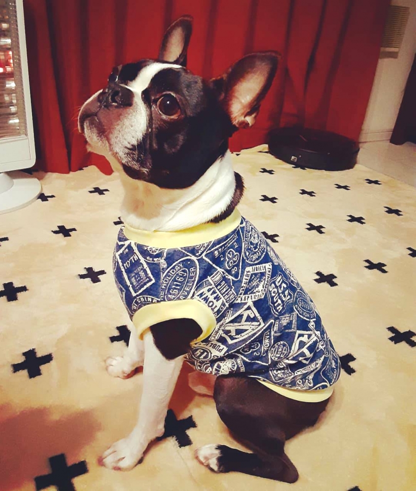 わんこ服教室Melody★house