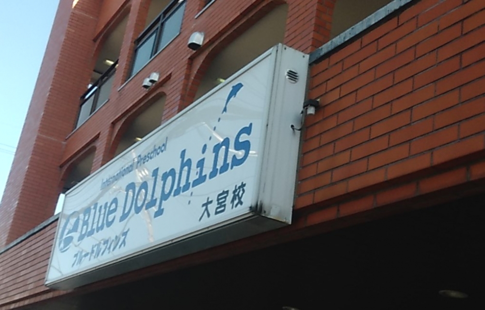 ブルードルフィンズ 大宮校_1