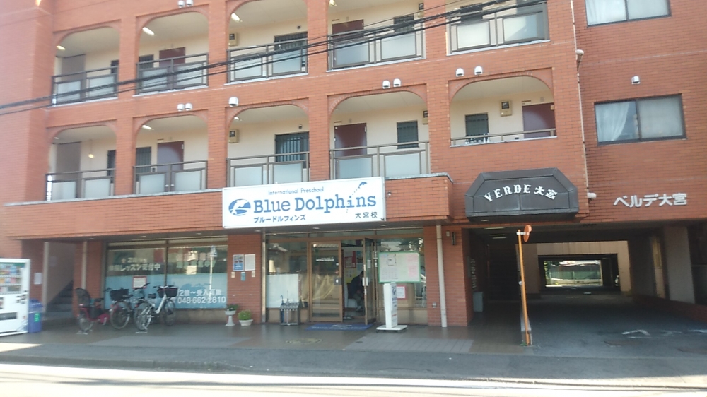 ブルードルフィンズ 大宮校