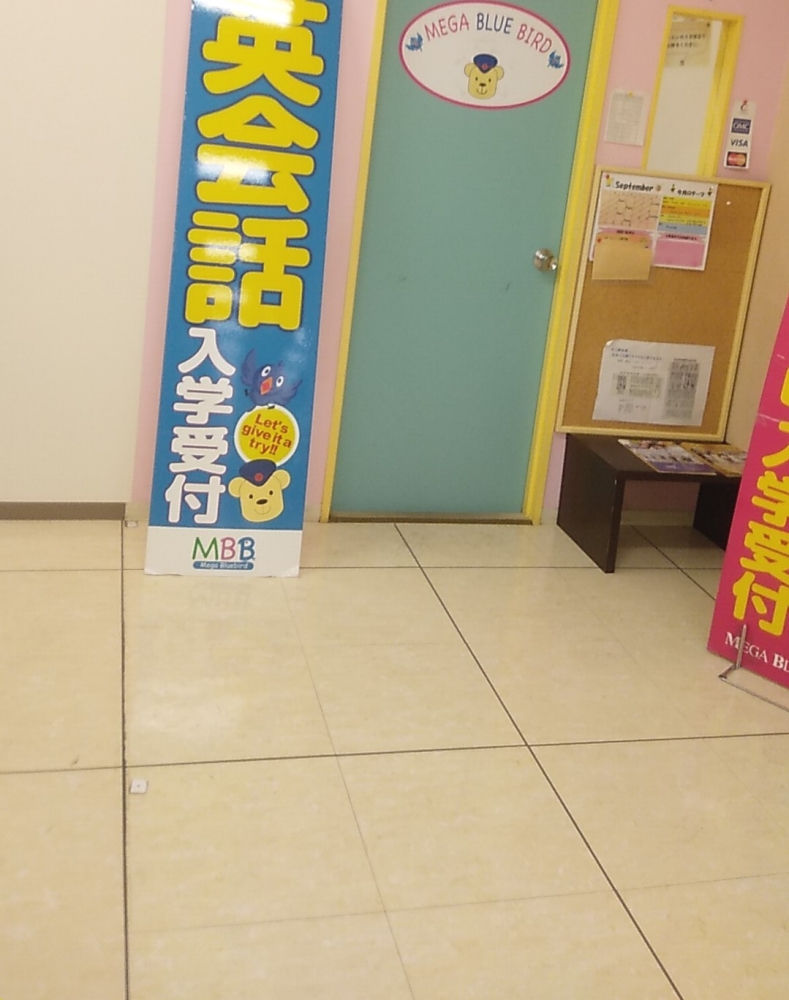 メガ・ブルーバード_1