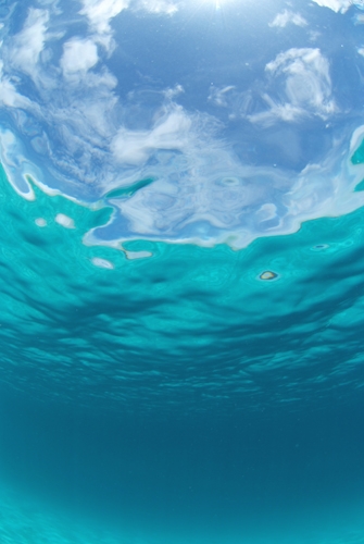 キューピッド　ダイビングスクール　大宮店