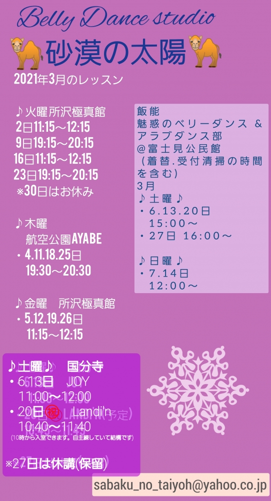 ベリーダンススタジオ 砂漠の太陽 所沢極真館クラス_1
