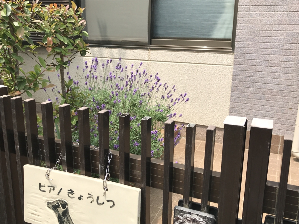 たけうちピアノ教室