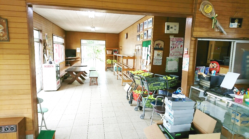 サテライトテニススクールあたご_8