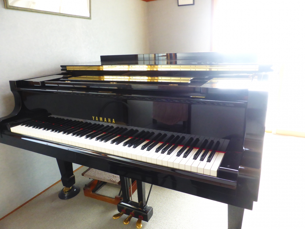 ぽこ・あ・ぽこ ピアノ教室_2