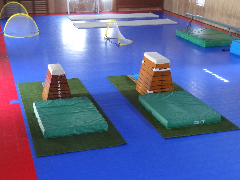 株式会社行徳スワロー体育クラブ_3