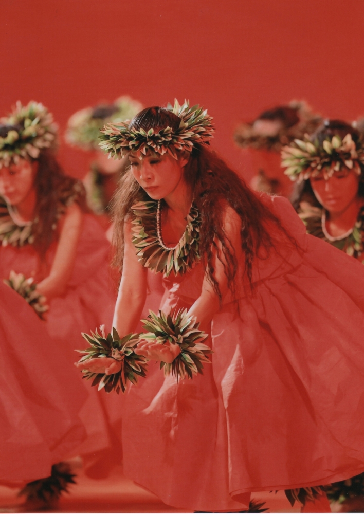 ALOHA LOKOMAIKAI　アロハロコマイカイ_3