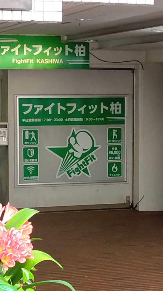 ファイトフィット柏_1