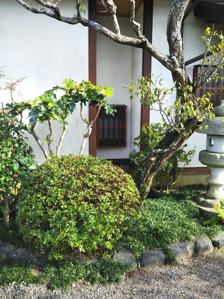 表千家茶道　茶事教室　香取庵