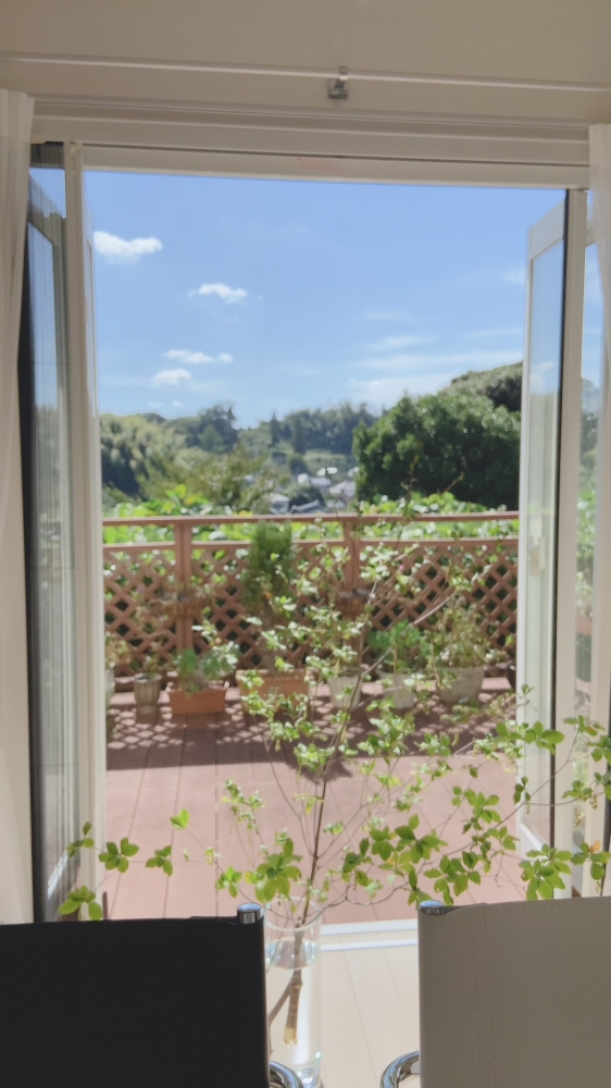 眞名井堂　桜流　モダンな茶道