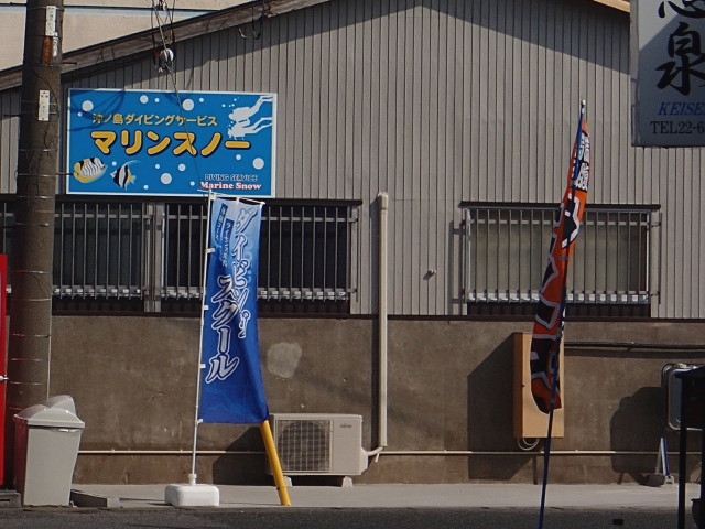 沖ノ島ダイビングサービス・マリンスノー