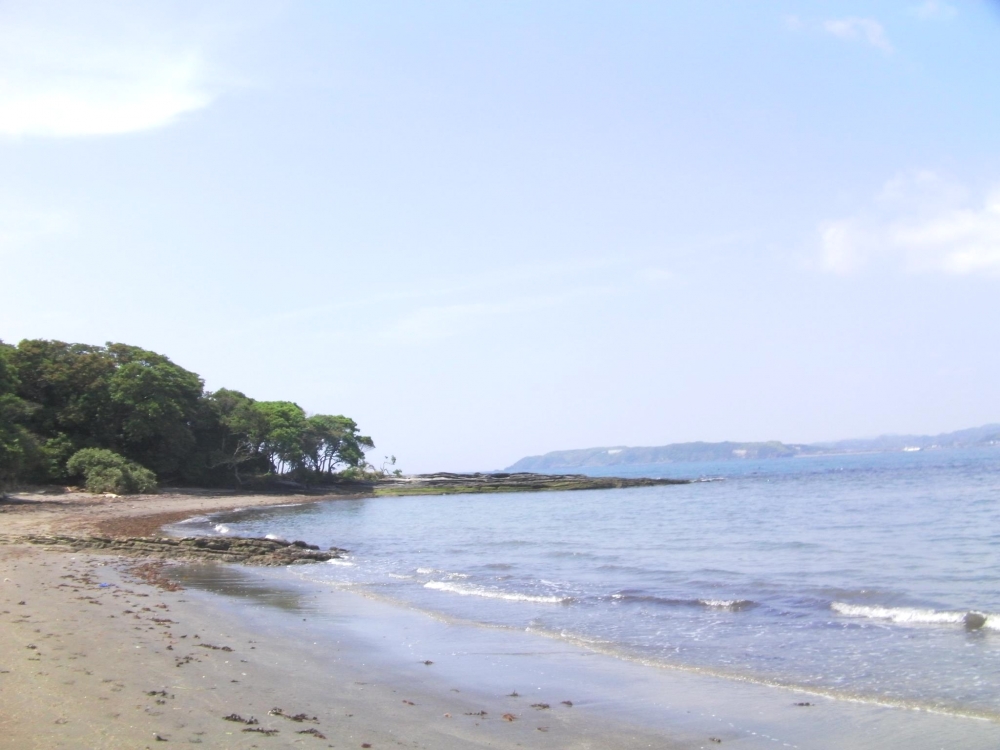 沖ノ島ダイビングサービス・マリンスノー_2