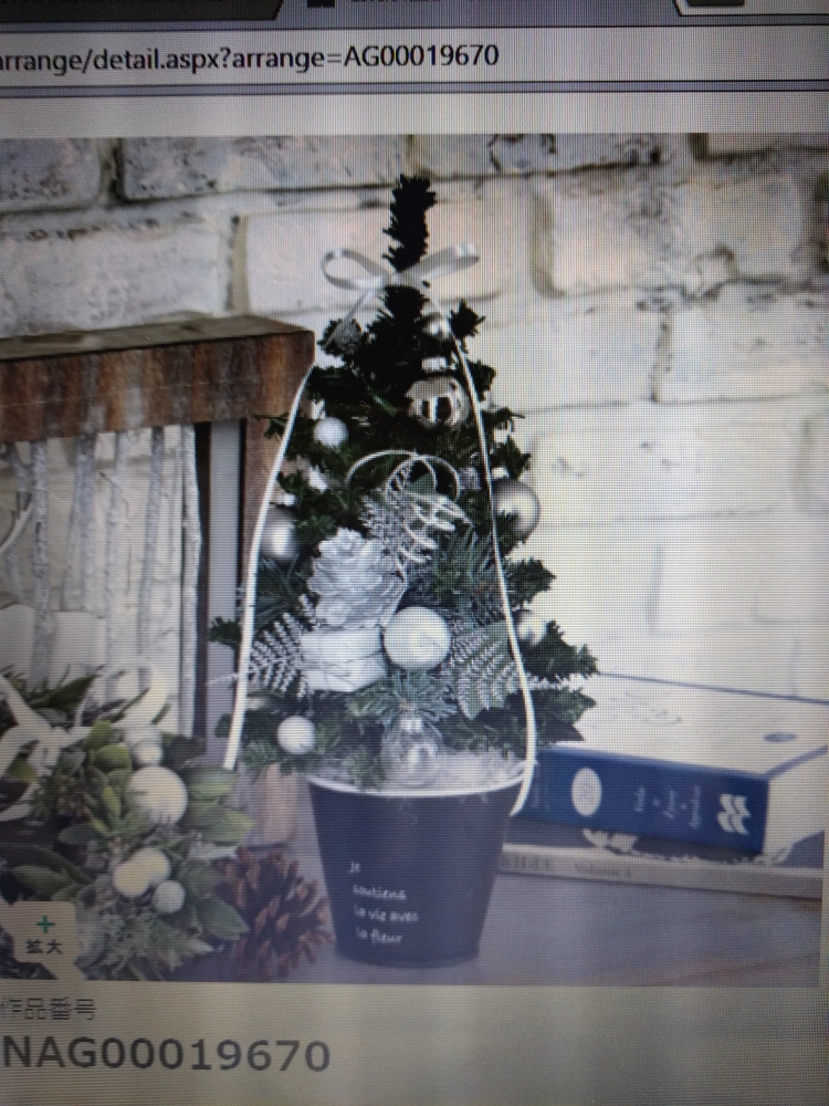 ライ　フォレスタ_2