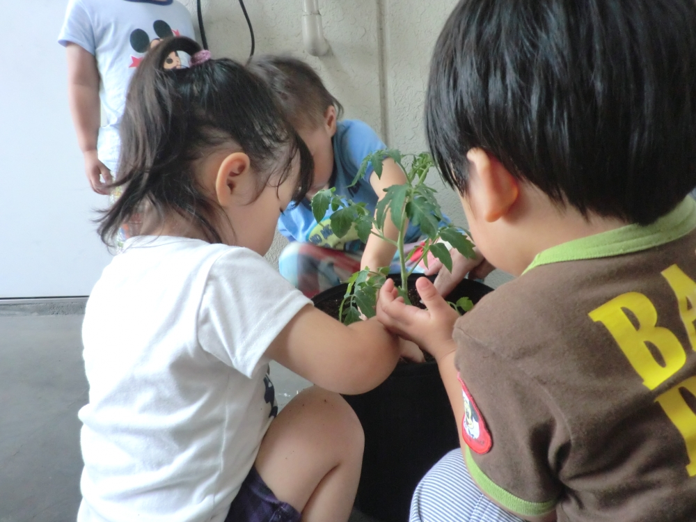 幕張おおぞら保育園_1