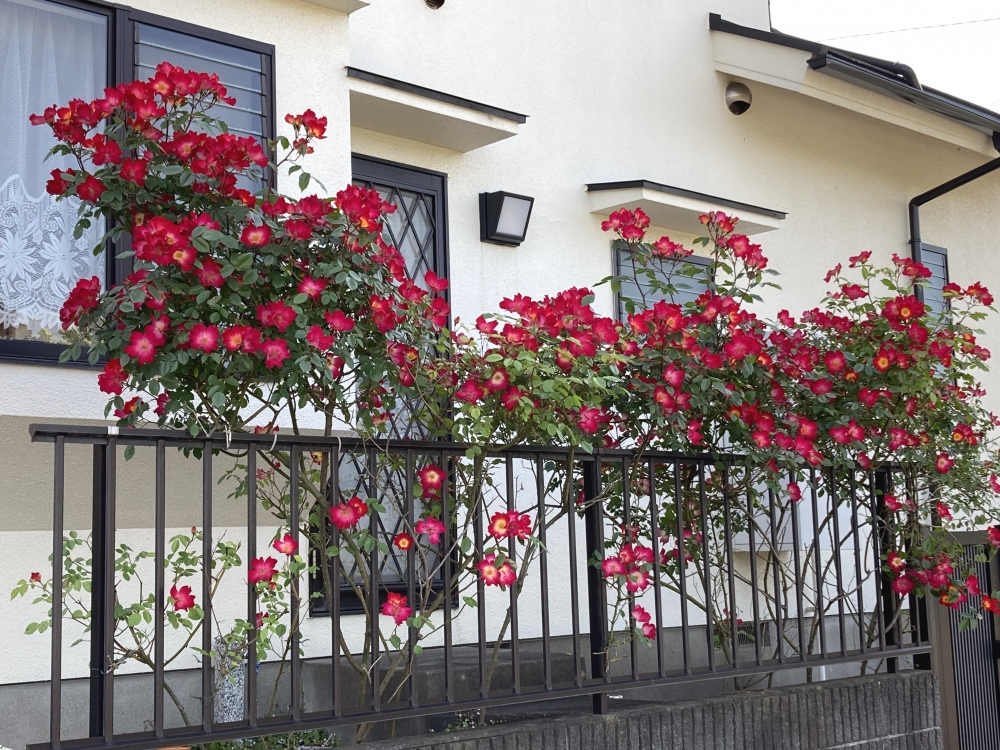 Akemi Piano Atorie_1