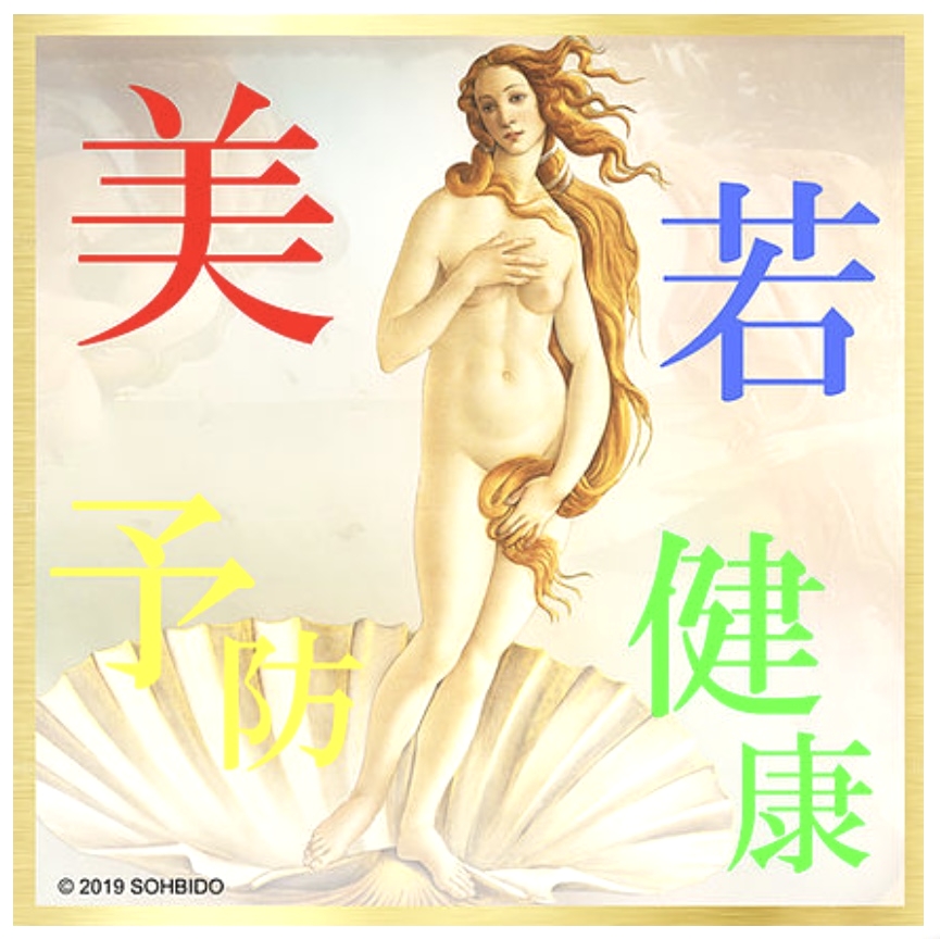 日本ライブセラピー協会_2