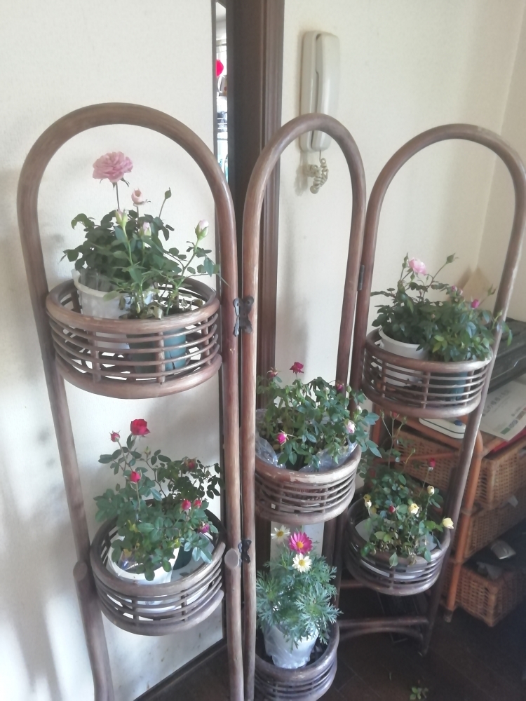 Private Lesson Kikuchi _4