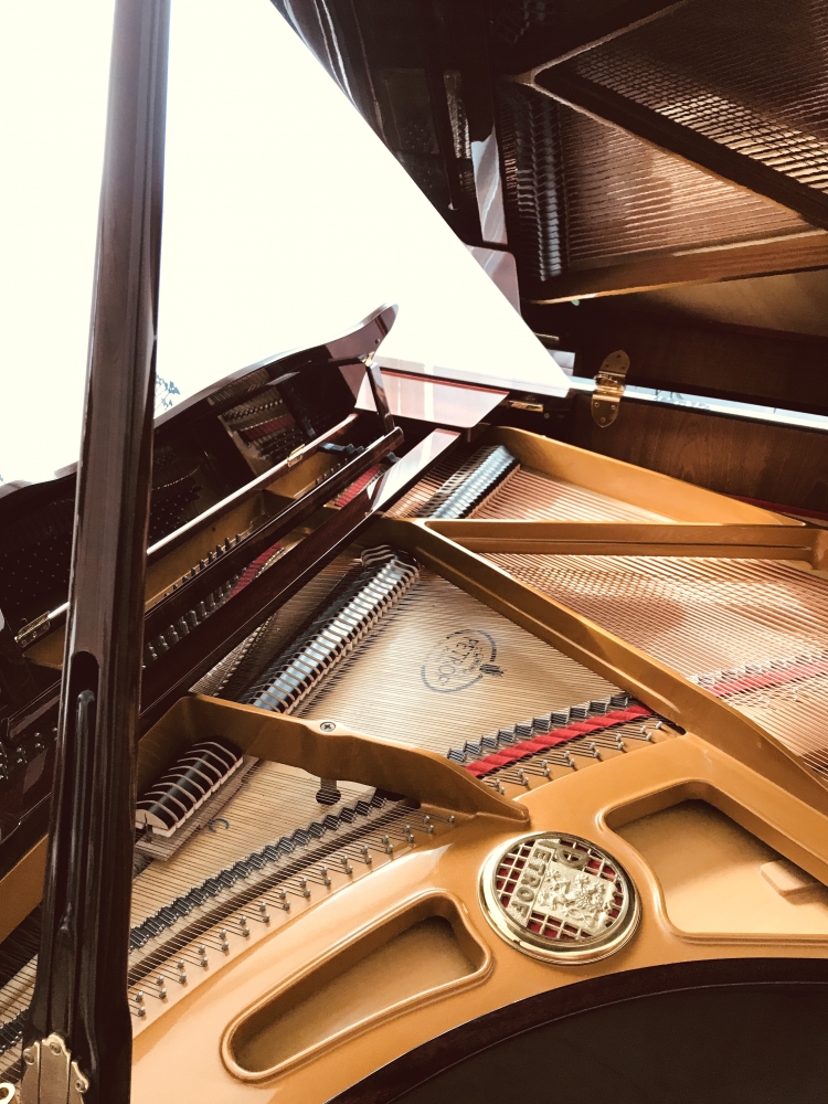 Sound Forest 音楽教室_4