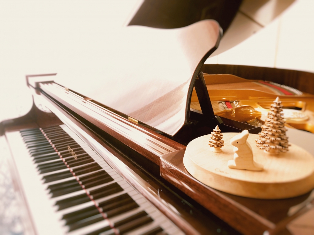 Sound Forest 音楽教室