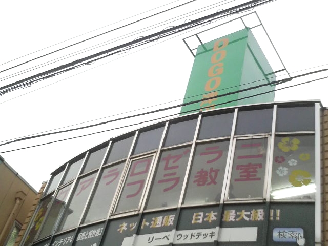 ケアラロゼラニ_2