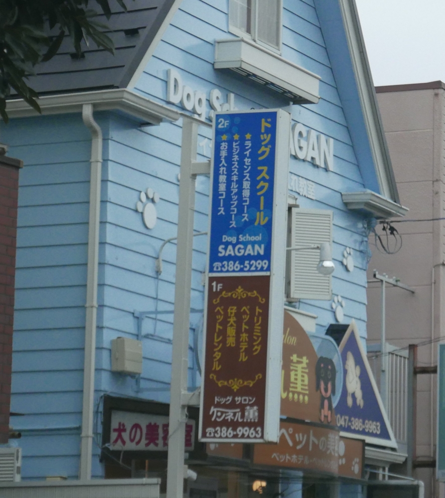 プロフェッショナルグルマーズスクールサガン_1